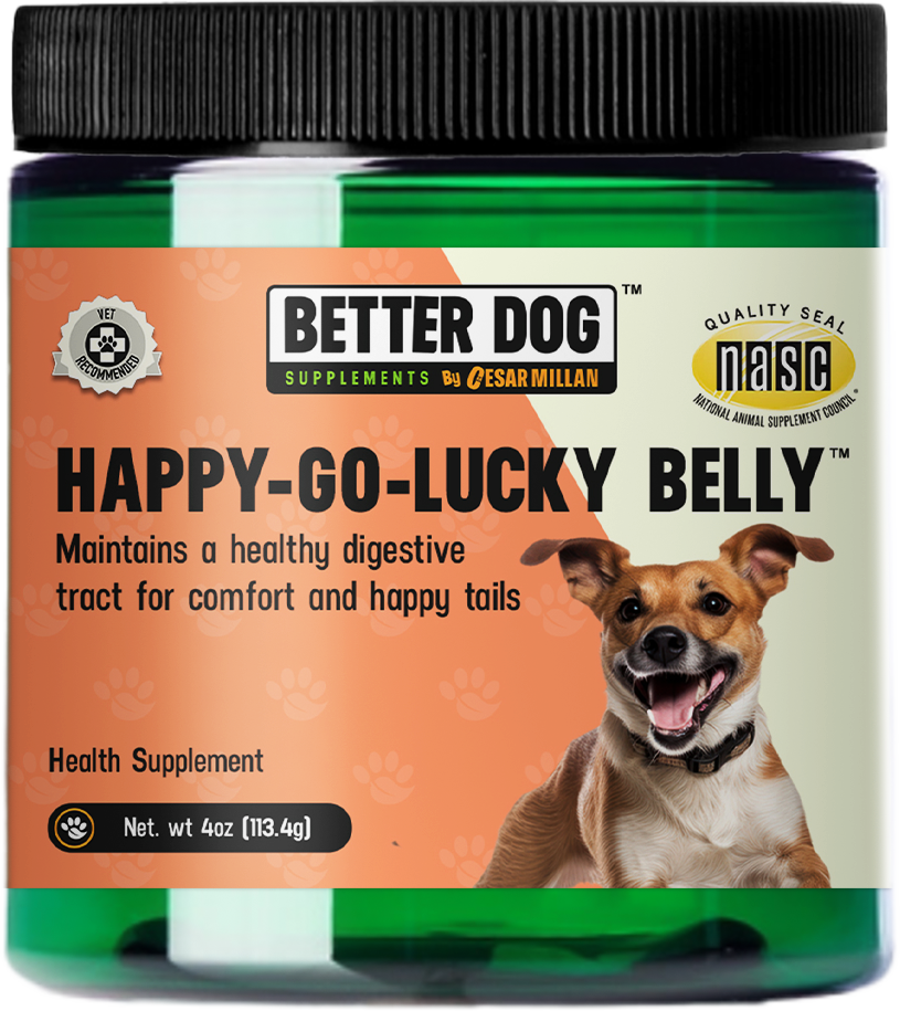 Happy-Go-Lucky Belly