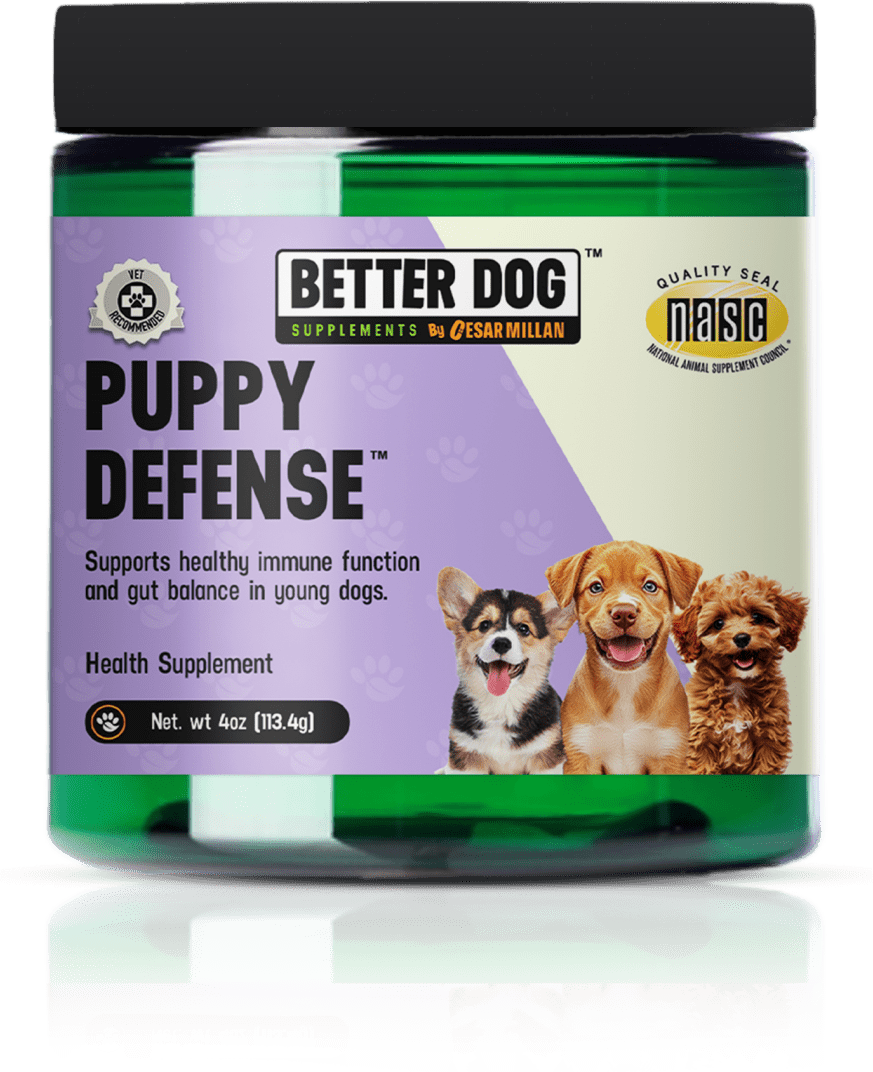 Puppy Defense