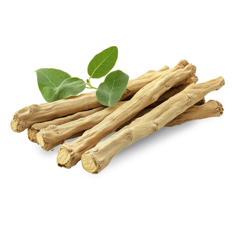 Valerian Root – The Nervous System Soother