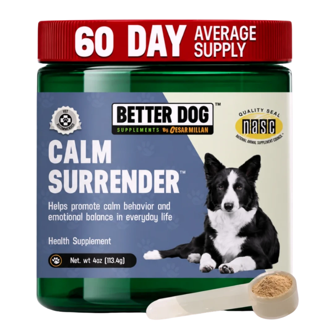 Calm Surrender™ jar, an average 60-day supply, shown with its measuring scoop