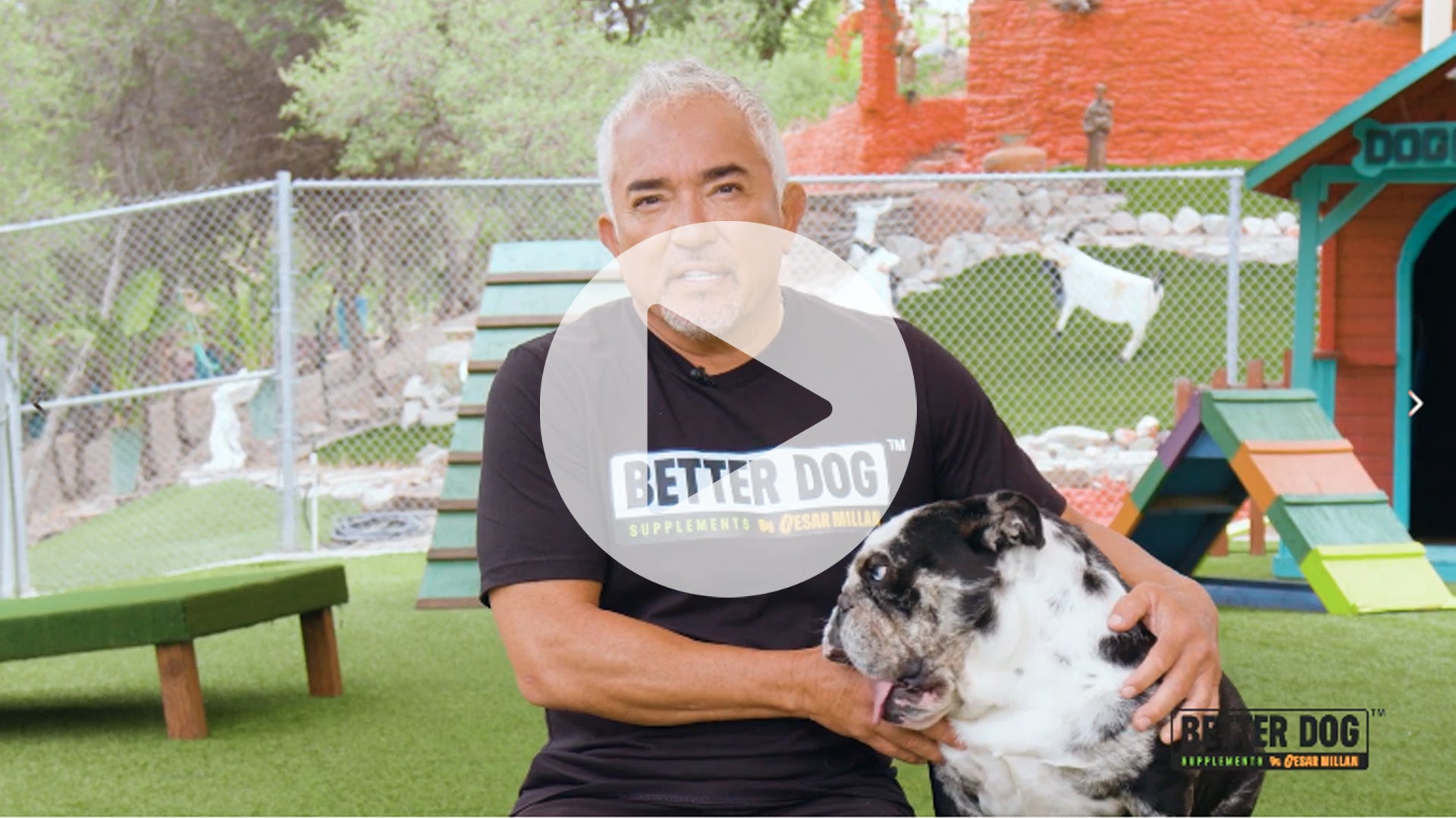 Calm Confidence Video