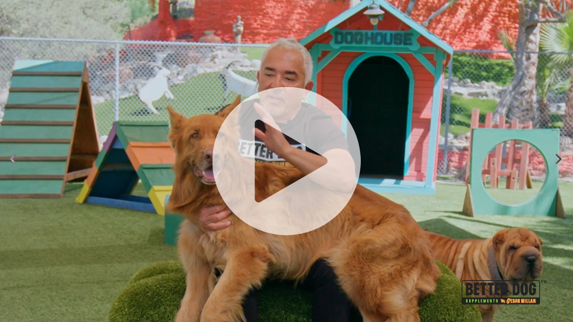 Nature's Armor Video