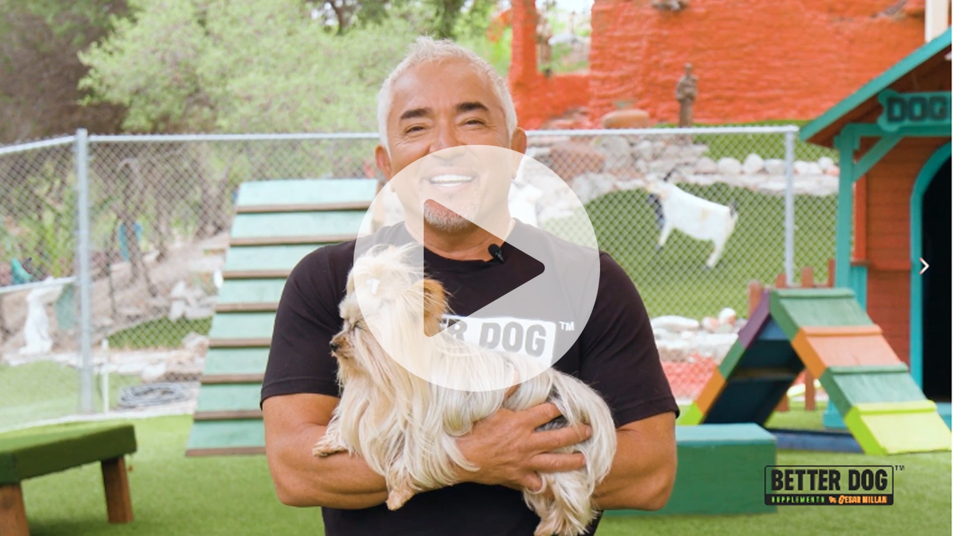 Pack Protector Video