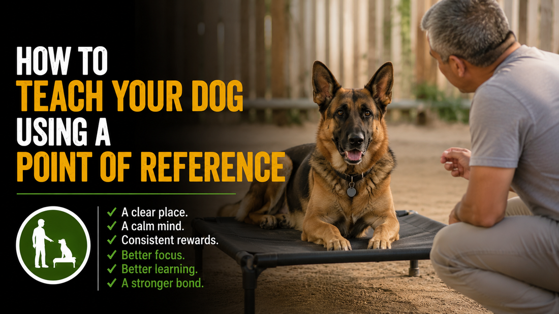 How to Teach Your Dog Using a Point of Reference