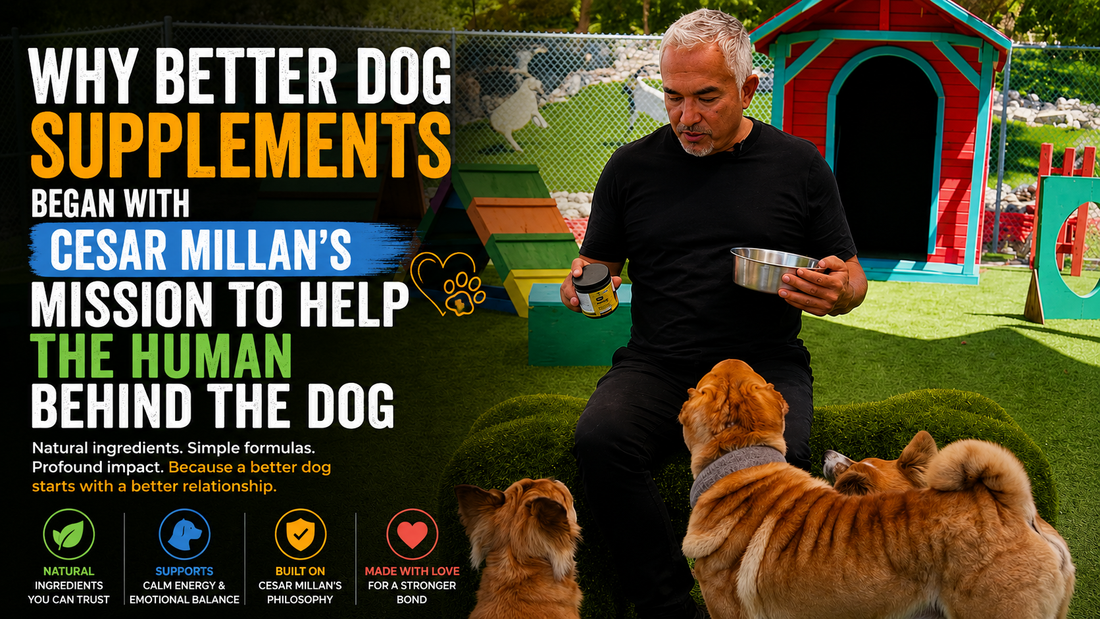 Why Better Dog Supplements Began With Cesar Millan’s Mission to Help the Human Behind the Dog