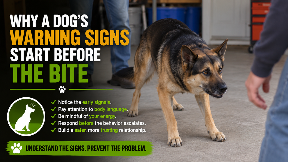 Why a Dog’s Warning Signs Start Before the Bite