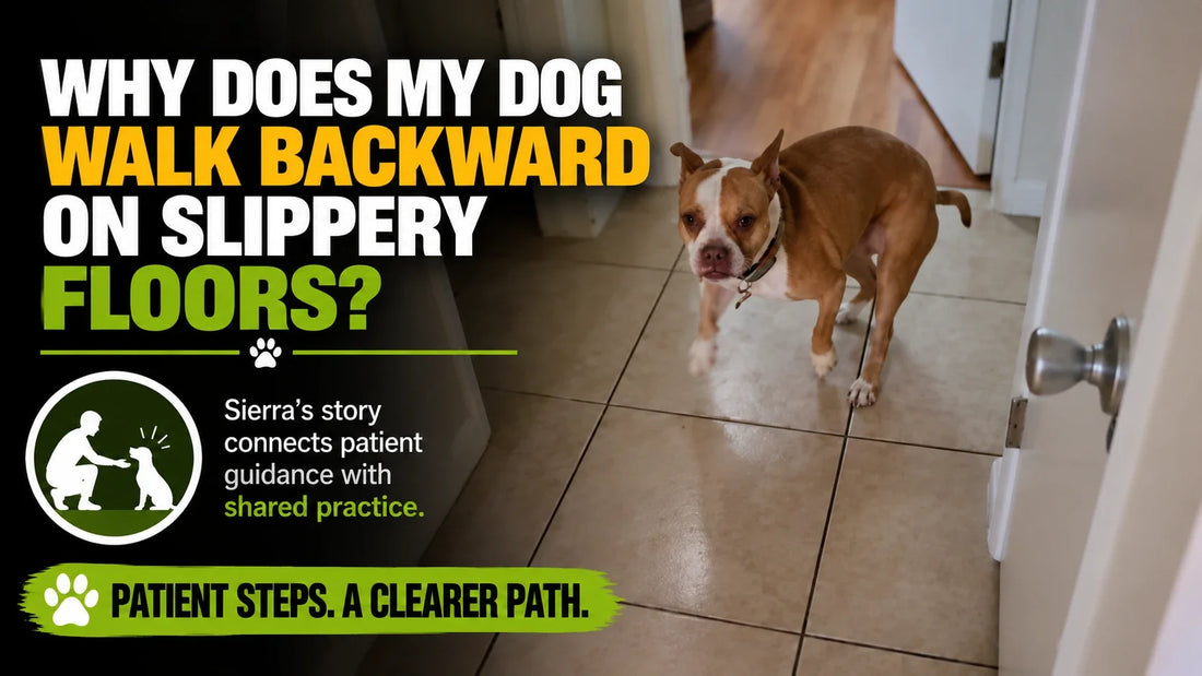 Sierra on a tiled floor beneath the backward-walking article headline