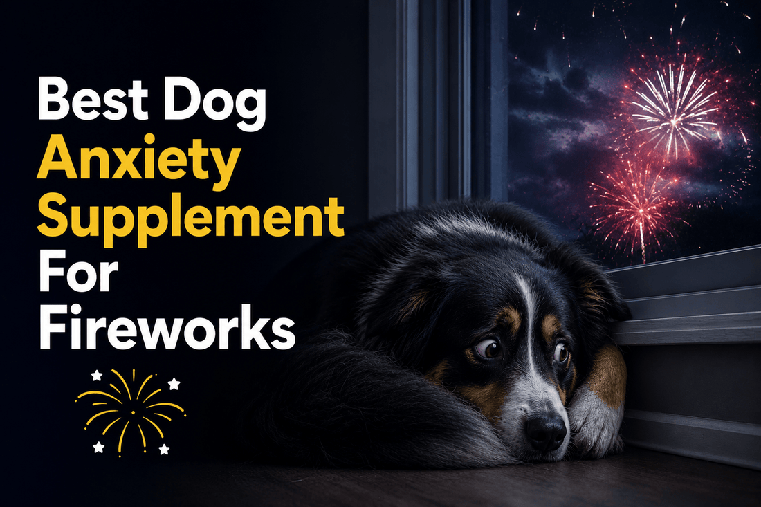 Best Dog Anxiety Supplement For Fireworks - Better Dog Supplements