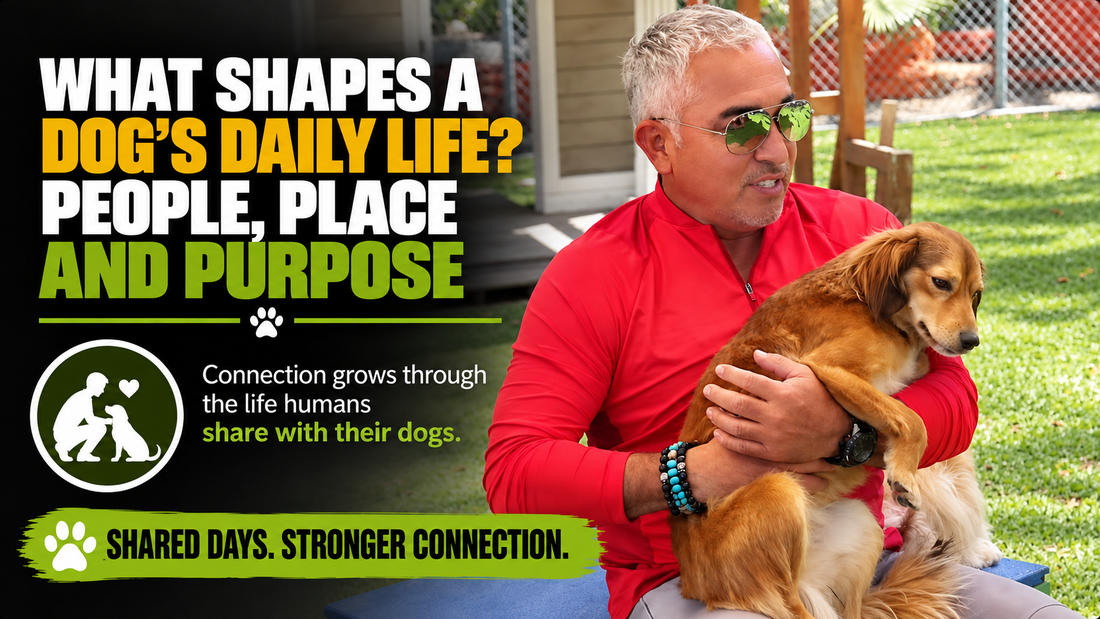 What Shapes a Dog’s Daily Life? People, Place, and Purpose. Cesar, wearing a red shirt, holds a small golden dog at his ranch.