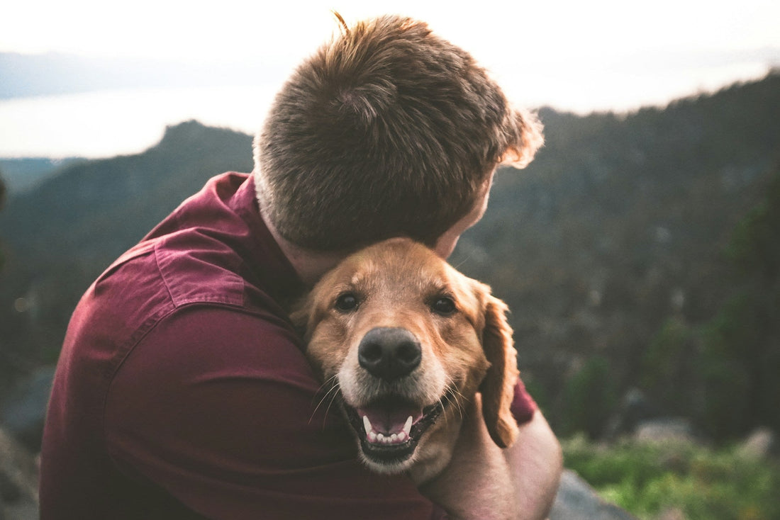 an owner hugging his dog