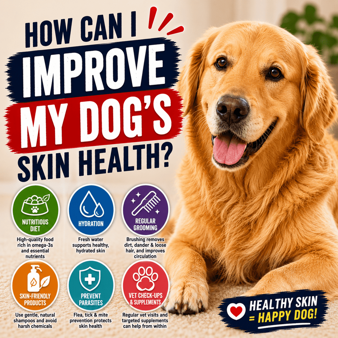 How Can I Improve My Dog's Skin Health? - Better Dog Supplements