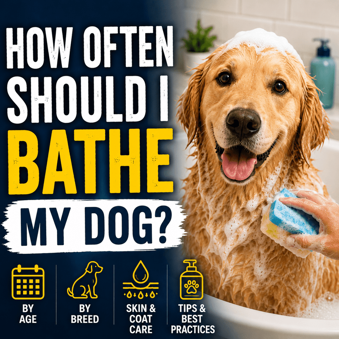 How Often Should I Bathe My Dog? - Better Dog Supplements