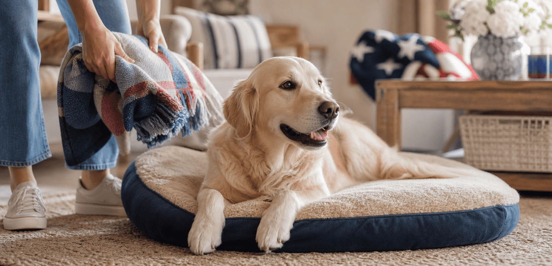 Preparing Your Dog for a Happy 4th of July: Fireworks, Safety, and Calm Support - Better Dog Supplements