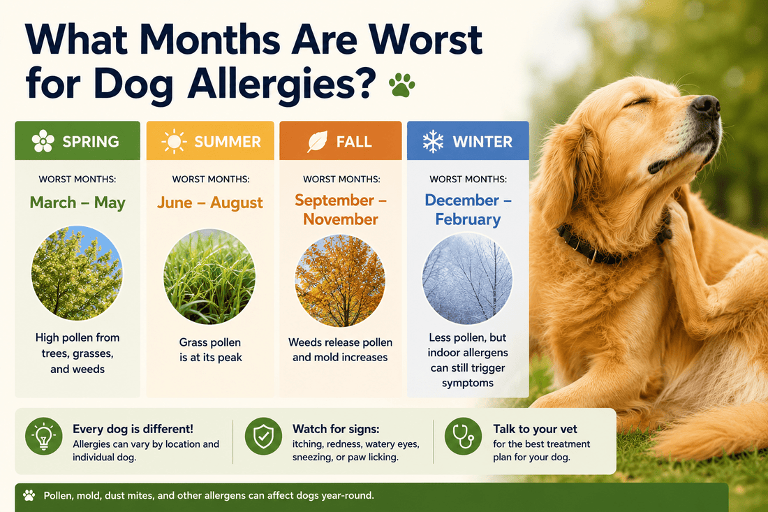 What Months Are Worst for Dog Allergies? Understanding Seasonal Patterns and Your Dog's Comfort - Better Dog Supplements