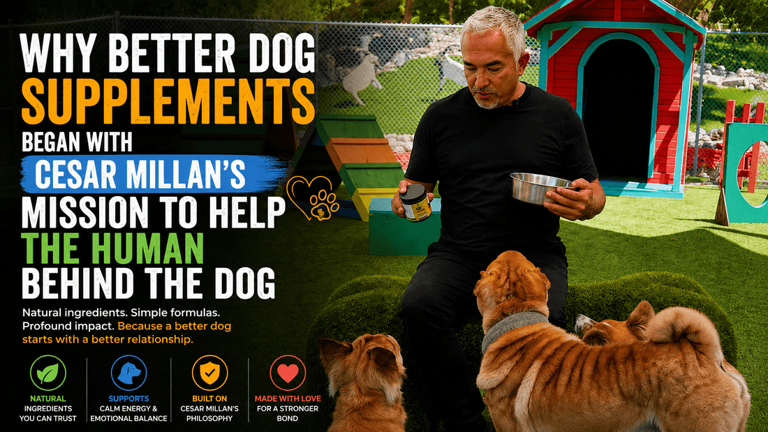 Why Better Dog Supplements Began With Cesar Millan’s Mission to Help the Human Behind the Dog - Better Dog Supplements