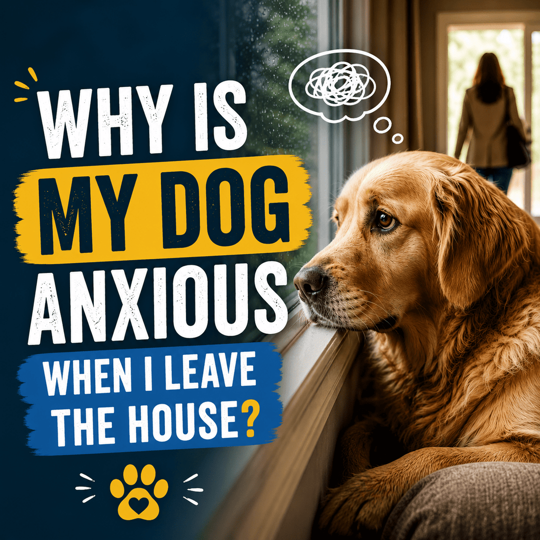Why Is My Dog Anxious When I Leave the House? - Better Dog Supplements