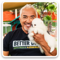 About Better Dog Supplements