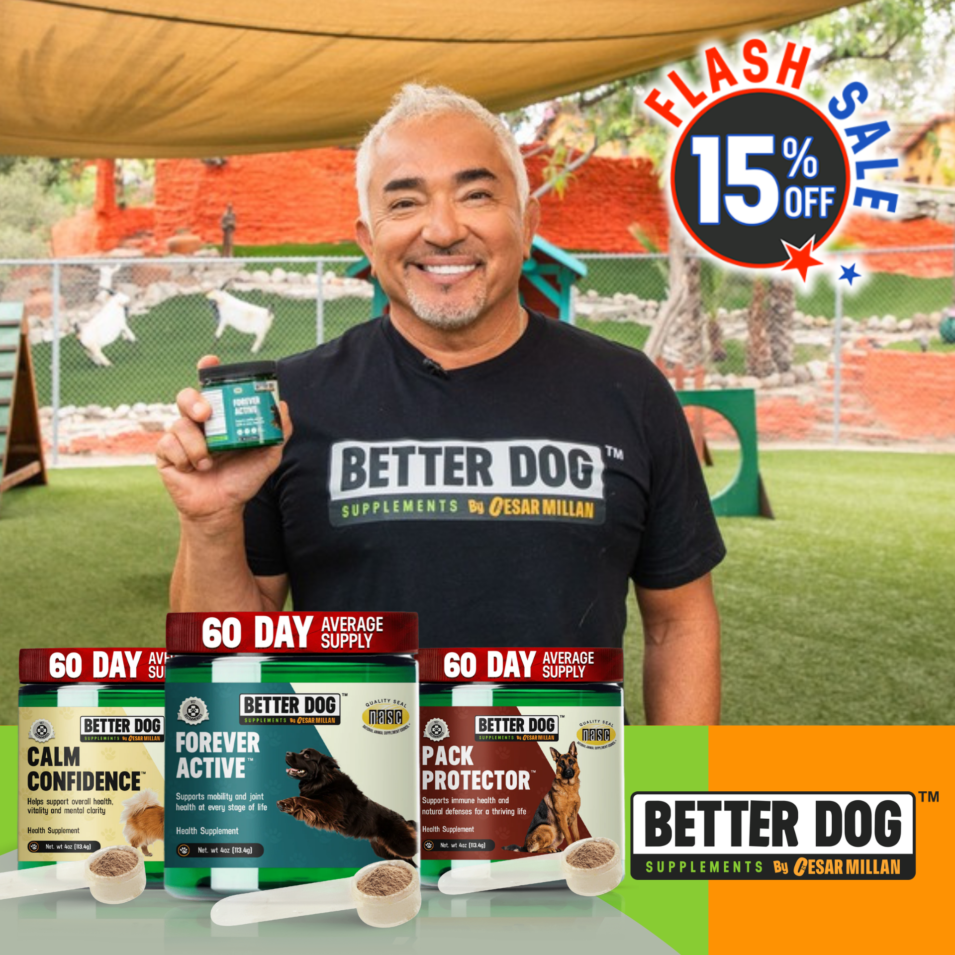 Better Dog Senior™