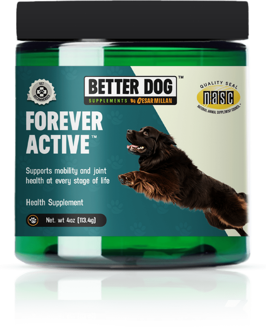 Forever Active