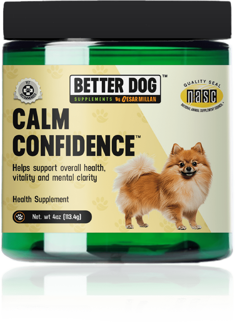 Calm Confidence