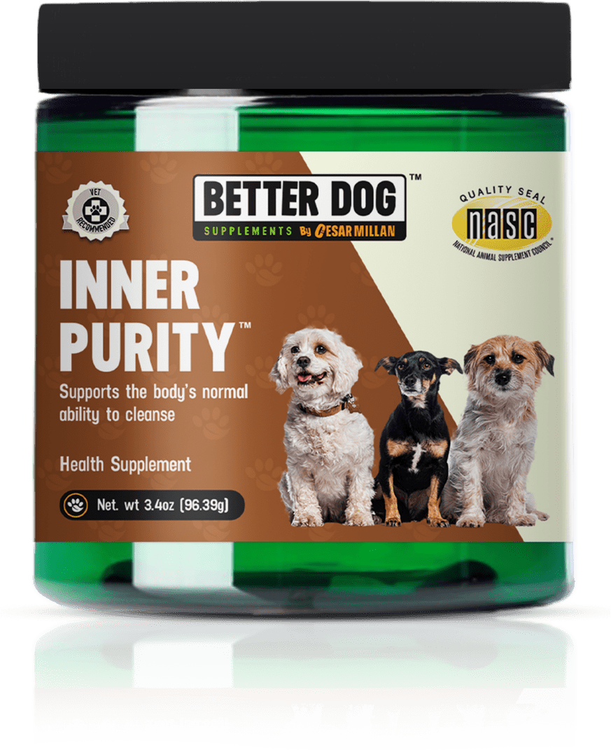 Inner Purity
