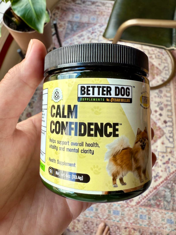 🐾 “A Gentle Boost for Focus and Calm”