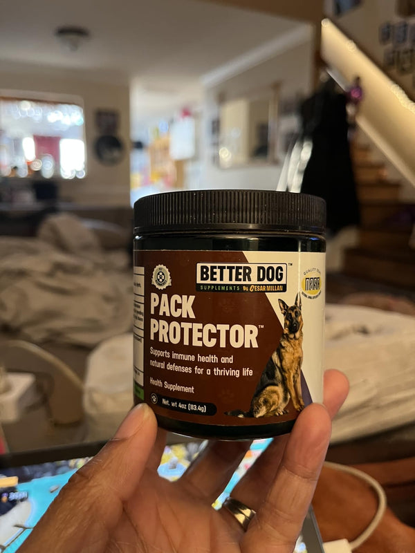 All Three Dogs Approved