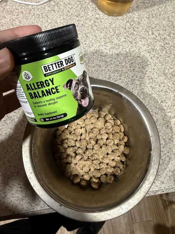 Sensitive Frenchie Approved