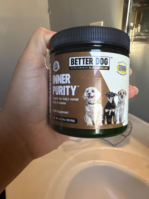 Better Dog Supplement