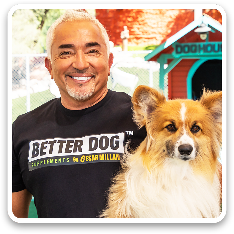 Man wearing a 'Better Dog' shirt with a dog in front of a doghouse.