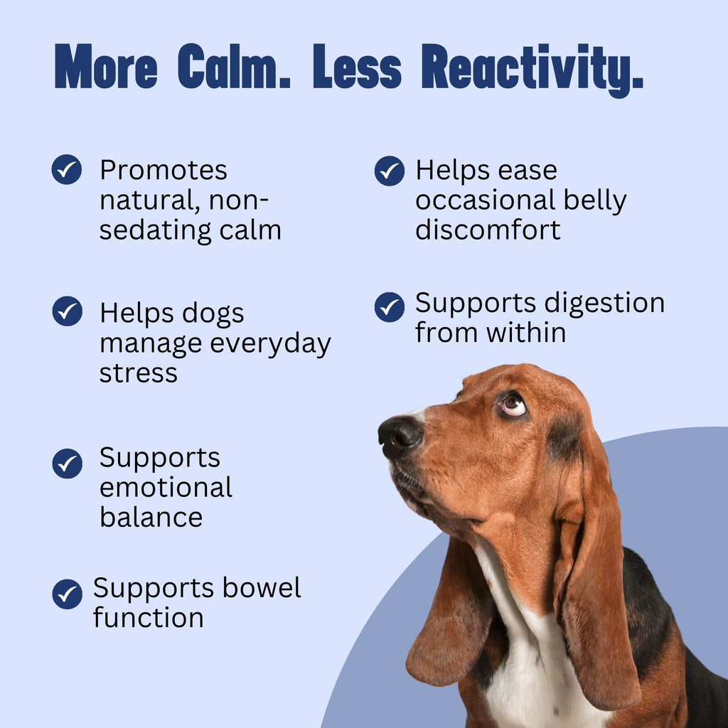 Calm Mind, Calm Belly Bundle