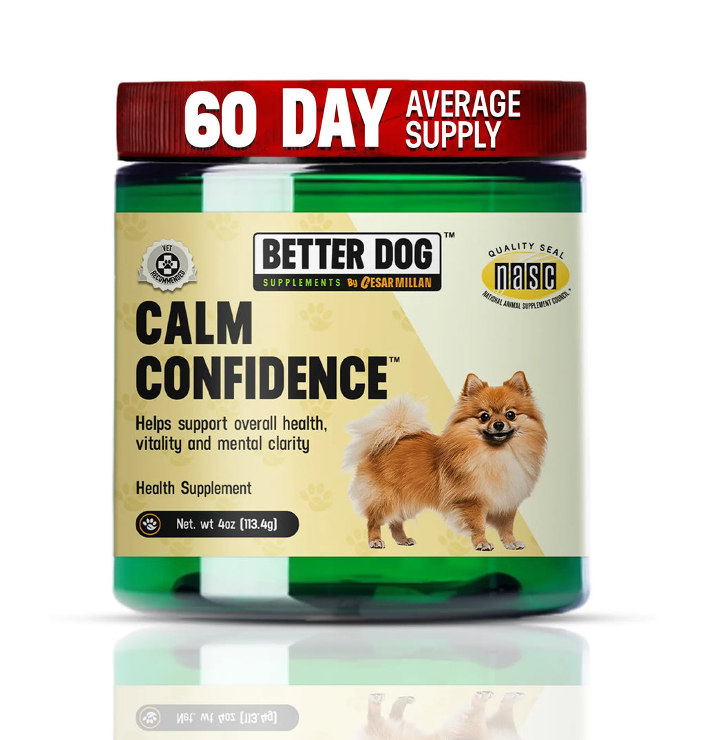 Dog supplement jar labeled 'Calm Confidence' by Better Dog Supplements on a white background