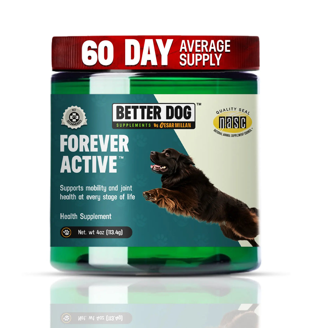 Dog supplement jar labeled 'Forever Active' by Better Dog on a white background