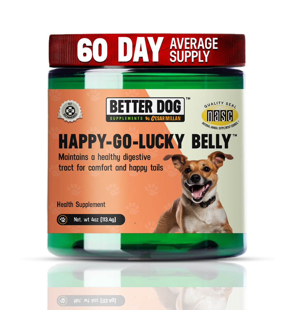 Dog health supplement container labeled 'Happy-Go-Lucky Belly' by Better Dog on a white background
