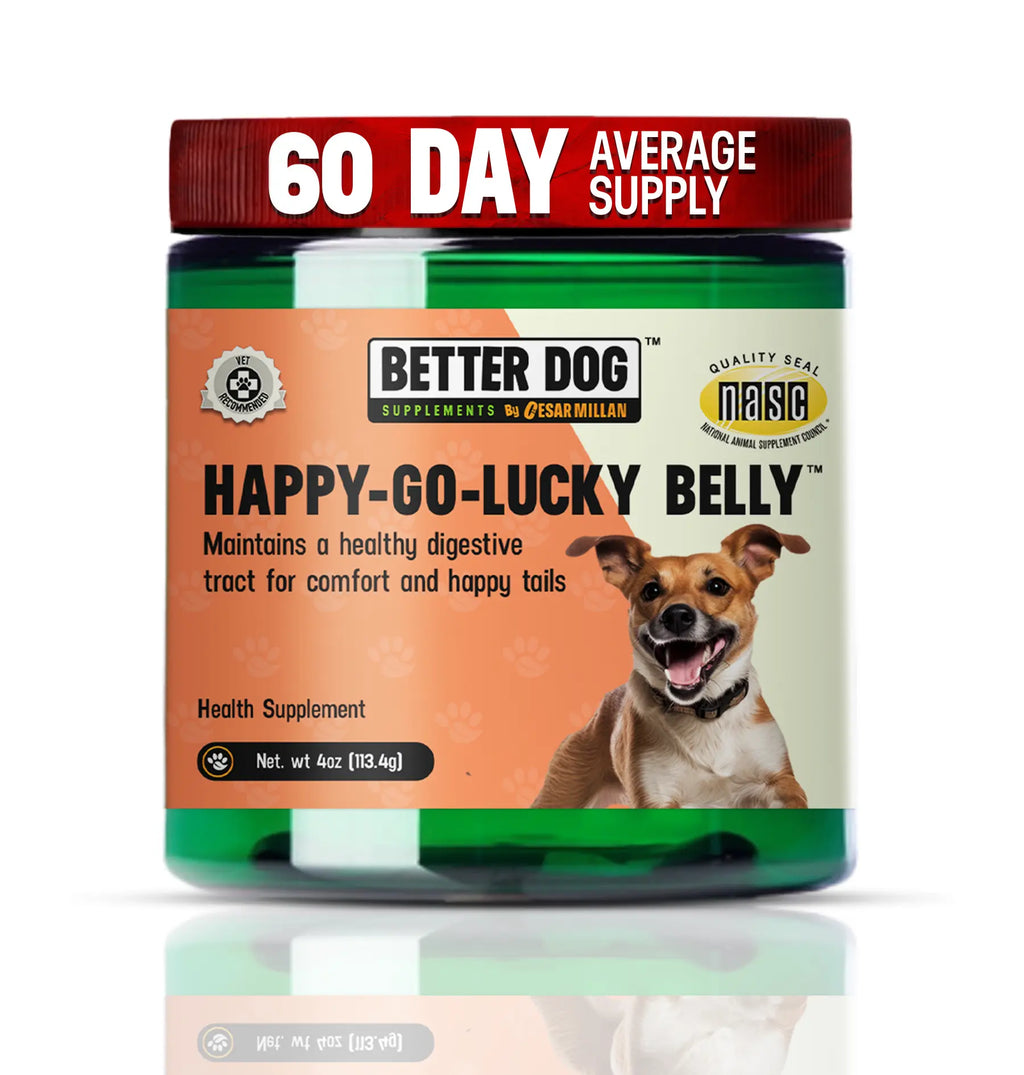 Dog health supplement jar labeled 'Happy-Go-Lucky Belly' by Better Dog on a white background
