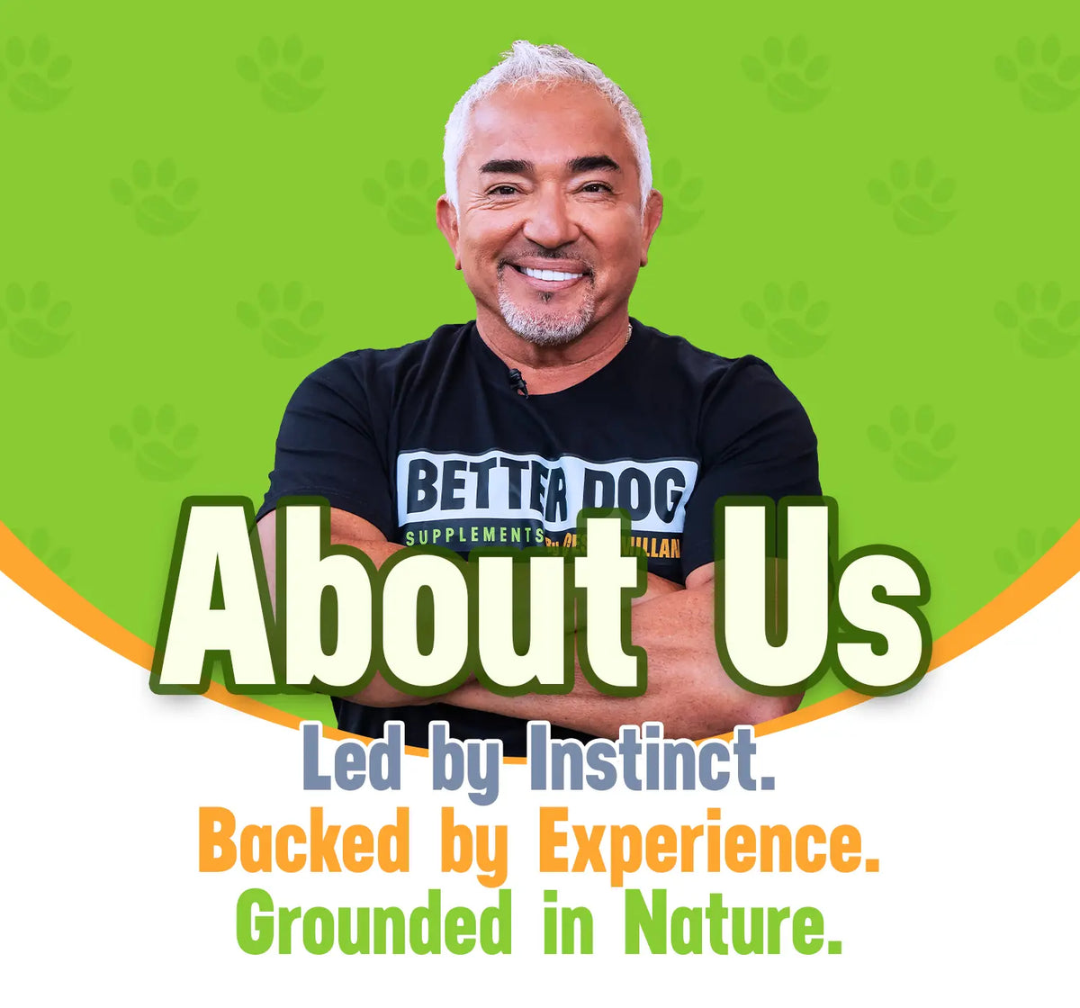 Man wearing a 'Better Dog' shirt with text about the brand on a green background