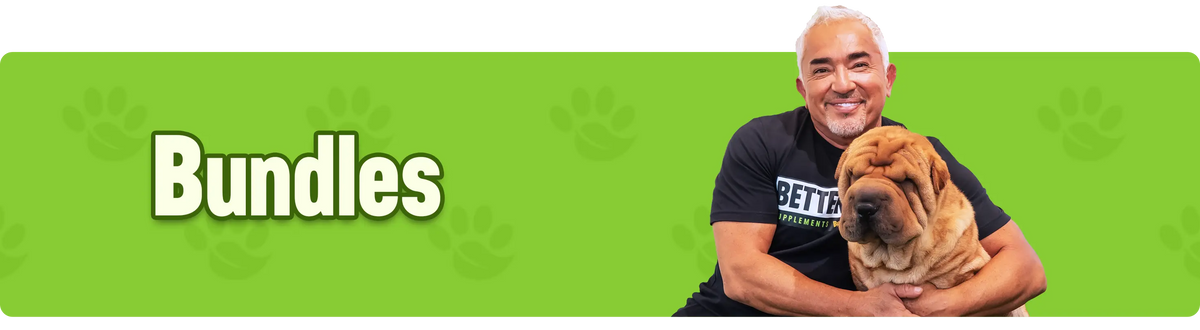 Man holding a dog with a green banner displaying 'Bundles' on a patterned background