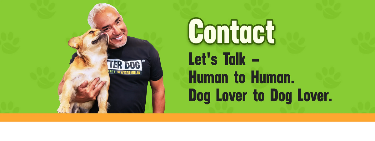 Man holding a dog with text about connecting with other dog lovers on a green background