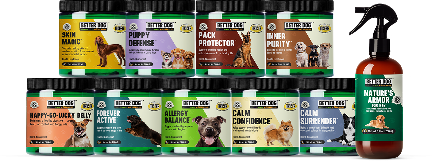 Full lineup of Better Dog Supplements products including jars for Skin Magic, Puppy Defense, Pack Protector, and a Nature’s Armor spray bottle.