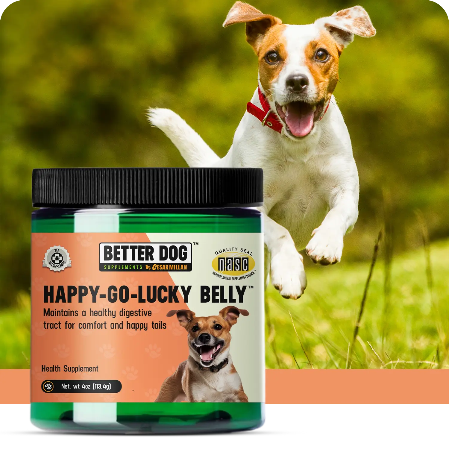 Dog supplement jar labeled 'Happy-Go-Lucky Belly' with a dog running in the background