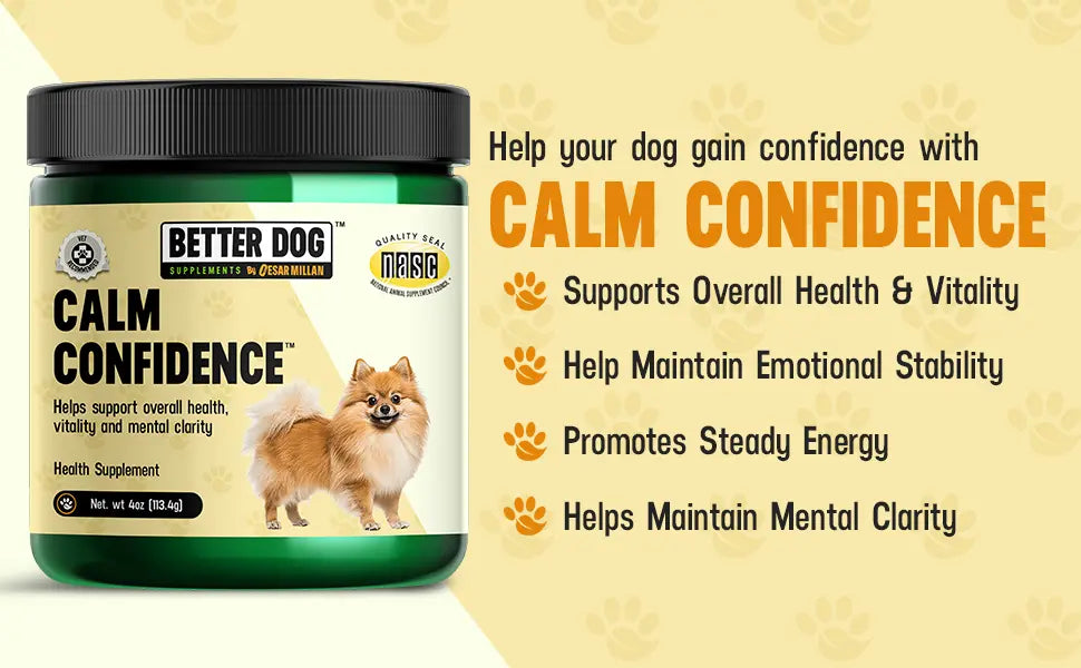 Dog supplement jar labeled 'Calm Confidence' by Better Dog on a beige background