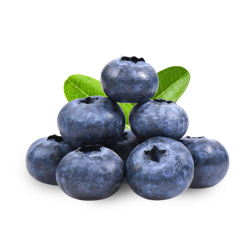 bilberry
