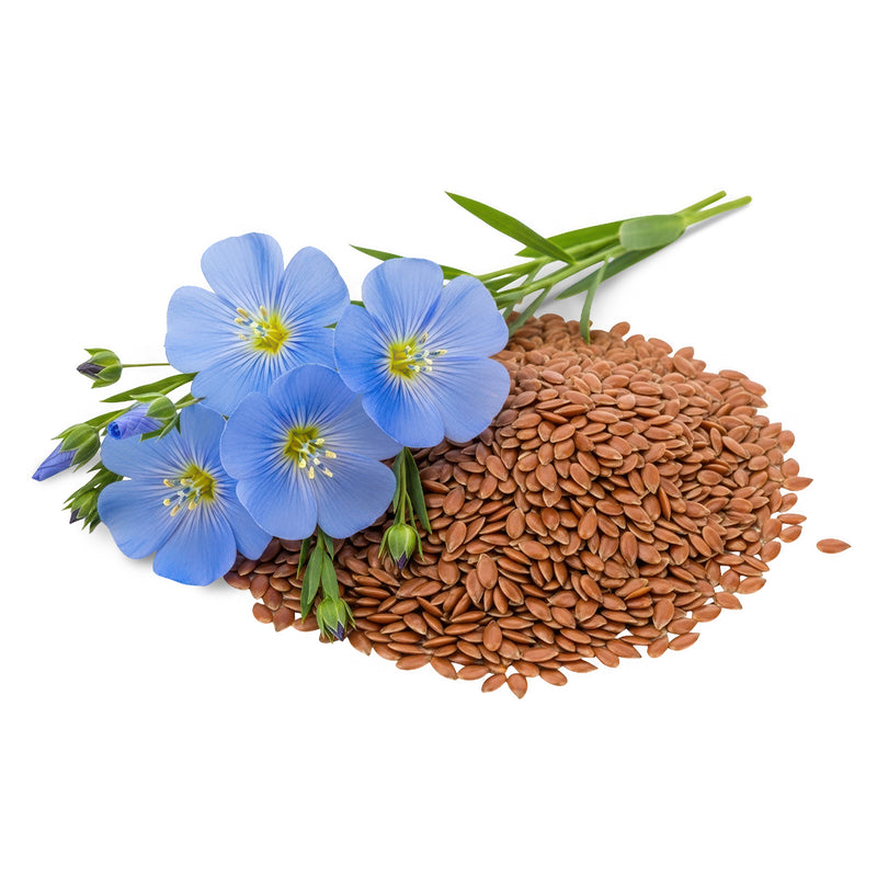 flax seed