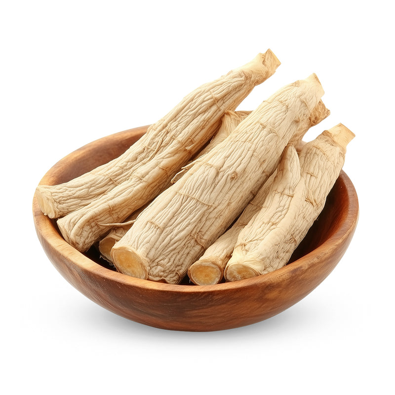 panax ginseng