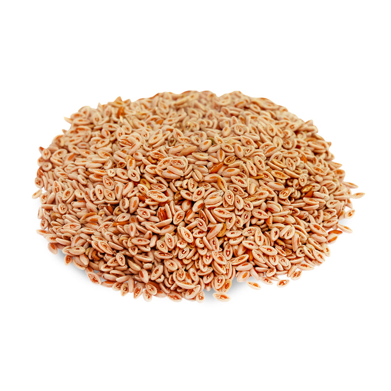 psyllium