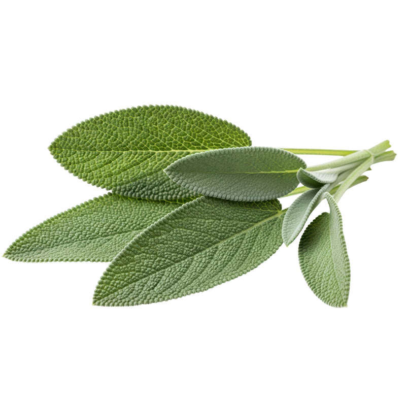 sage 