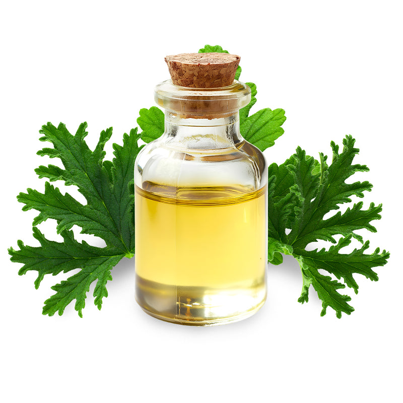 Citronella