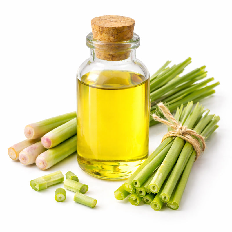 Lemongrass & Eucalyptus Citriodora