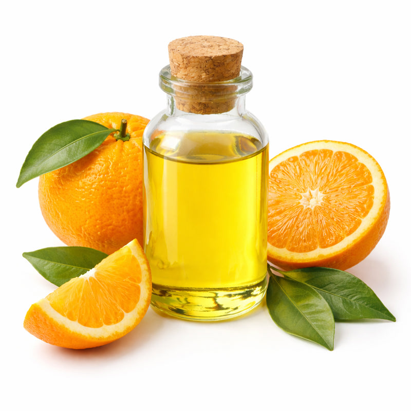 Sweet Orange Oil & Arbor Vitae