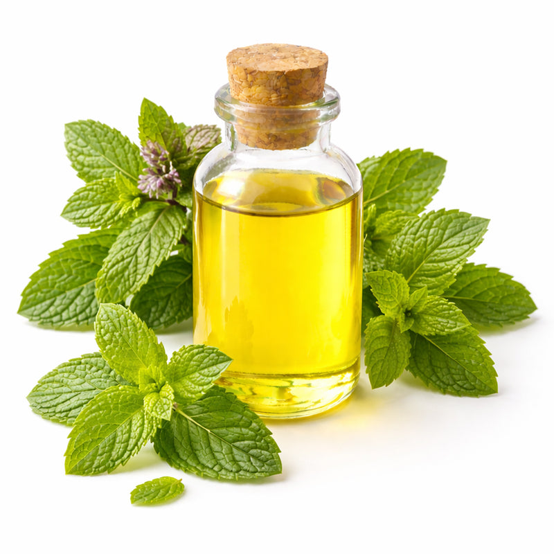 Peppermint & Basil Oil